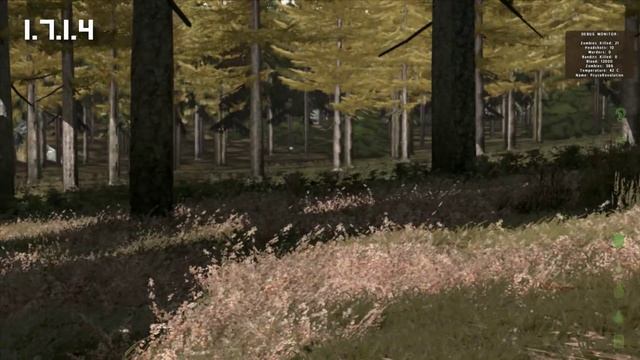 Hotfix Insanity ► DayZ смотреть онлайн