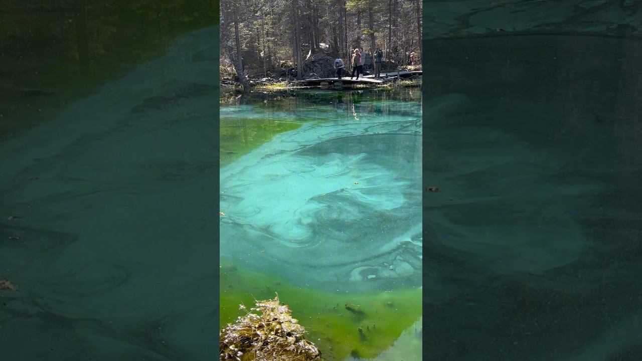 Гейзерное озеро / Акташ / Алтай #гейзер #алтай #горы #mountains #altay #акташ #geyser смотреть онлайн