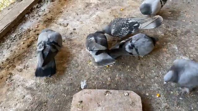 Забрал Коробку! Что там???