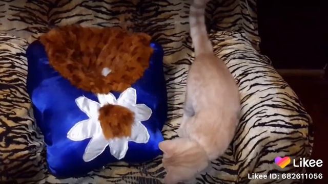 Проверка качества нового изделия. смотреть онлайн