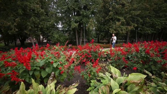 Александр Пивень. смотреть онлайн