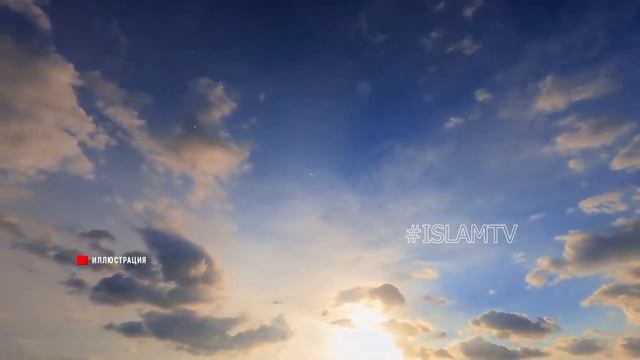 Мало кто знает почему Сура Аль Бакара называется "Корова" слушайте до конца . смотреть онлайн