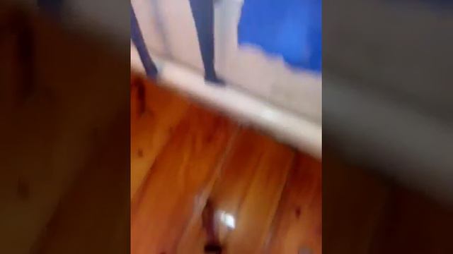 Что я буду делать в будущем