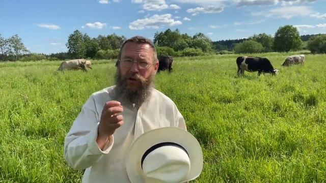 Третий и важнейший вопрос продавцу при выборе сыра. Герман Стерлигов смотреть онлайн