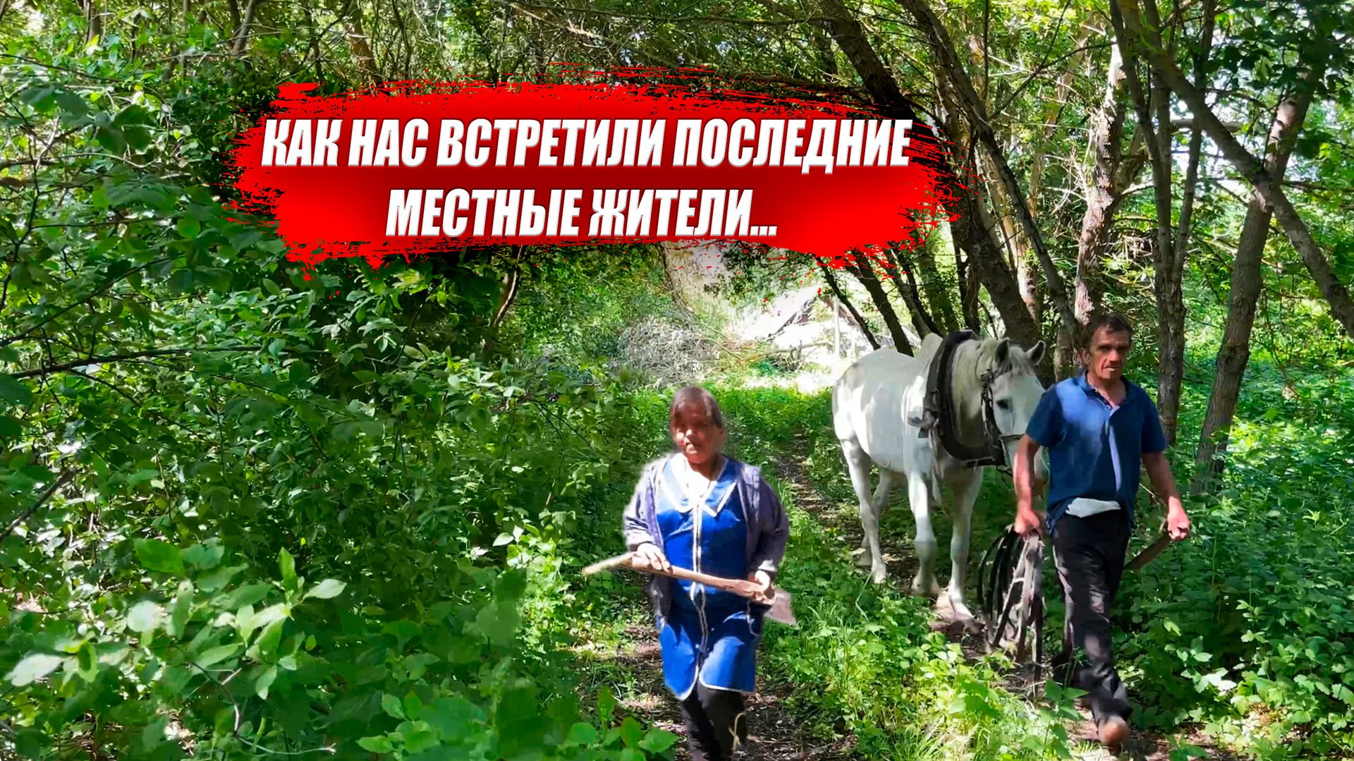 УМИРАЮЩАЯ ДЕРЕВНЯ | Курская обл, Золотухинский р/н д. Можаевка смотреть онлайн