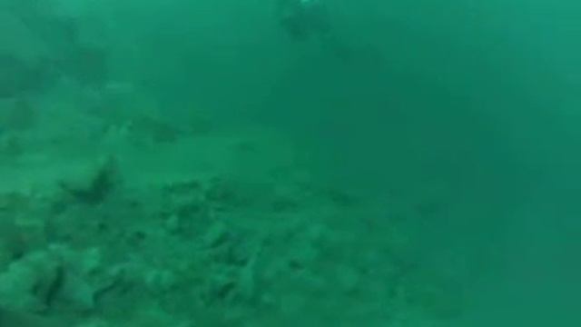 Дайвинг в Междуреченске смотреть онлайн