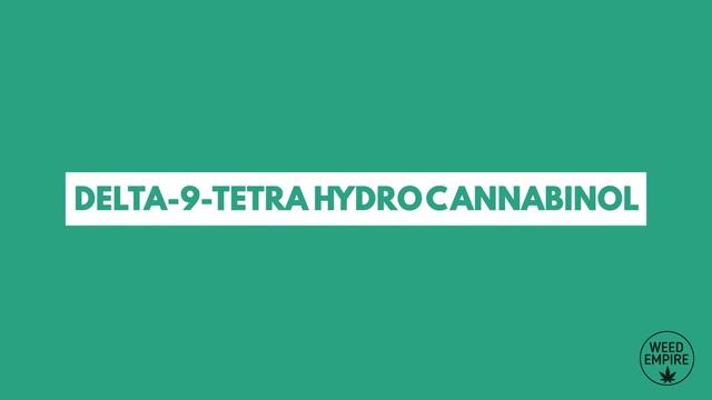 Что будет, если спать накуренным? смотреть онлайн