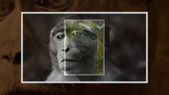 SM_031 Эрекция сознания (720p., 00'55'') смотреть онлайн