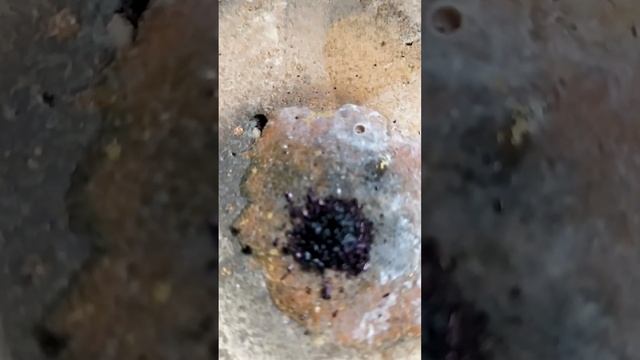 МАРГАНЦОВКА И СУПЕР КЛЕЙ смотреть онлайн