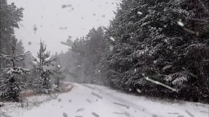 Расслабляющие Звуки метели. Снежная вьюга, воющий ветер. Релакс для сна, Медитация