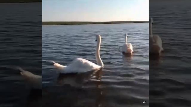 Притча о Любви и Времени смотреть онлайн