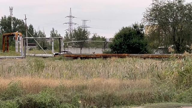 Ну вот и лето опять пришло смотреть онлайн