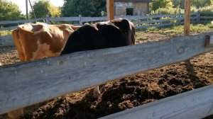 Крс / Сельское хозяйство