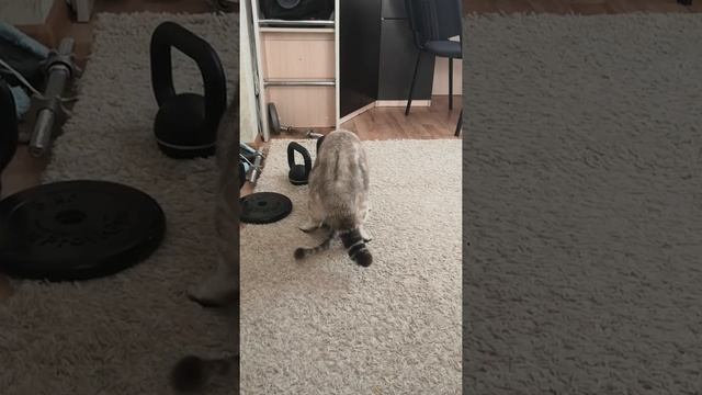 11 сентября 2022 г. смотреть онлайн