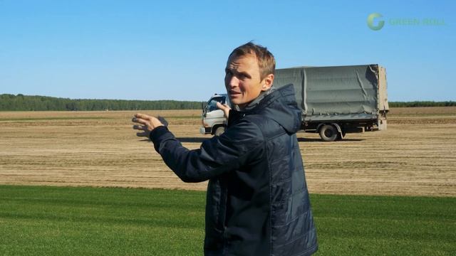 Свежесть рулонного газона для клиента. Как доставляется и где хранится рулонный газон смотреть онлайн