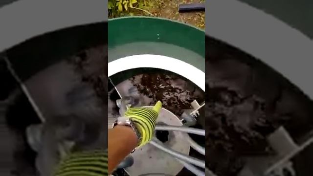 СЕПТИК "ИНТАЛ-АНТЕЙ" смотреть онлайн