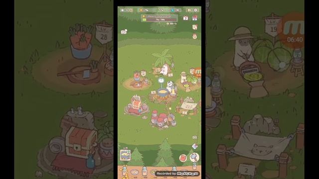 кошки и суп продолжения