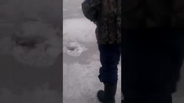 Рыбалка в Нижегородской области г. Лысково смотреть онлайн