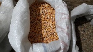 Рацион Кормления Дойной Козы / Чем я Кормлю свою Козу