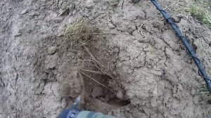 РЕАЛЬНЫЙ ПОИСК с металлоискателем Garrett Apex на пашне!