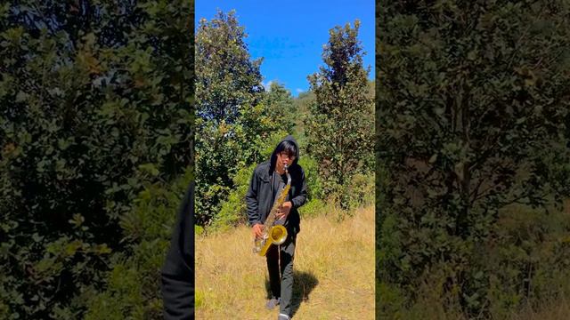 Titanic en Saxofón Cover en vivo / Mingo Diego смотреть онлайн