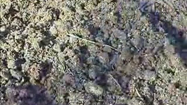 Рыхлитель садово-огородный смотреть онлайн