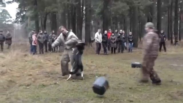 Торжок ноябрь 2013 год. смотреть онлайн