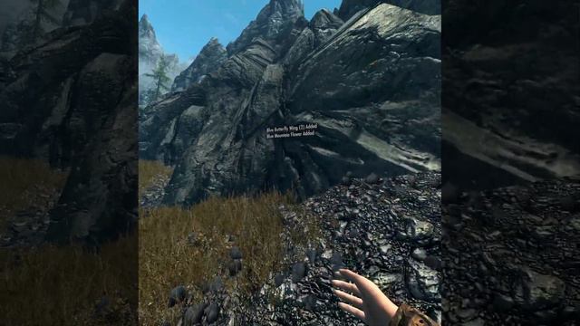 Skyrim VR: The Ballad of Prisoner #11 смотреть онлайн
