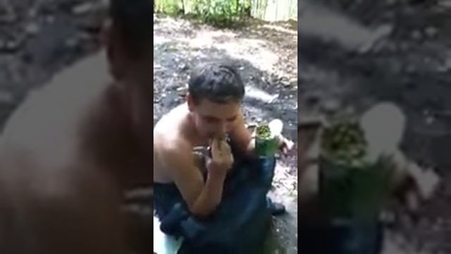 Как правильно есть тушенку и зеленый горошек смотреть онлайн