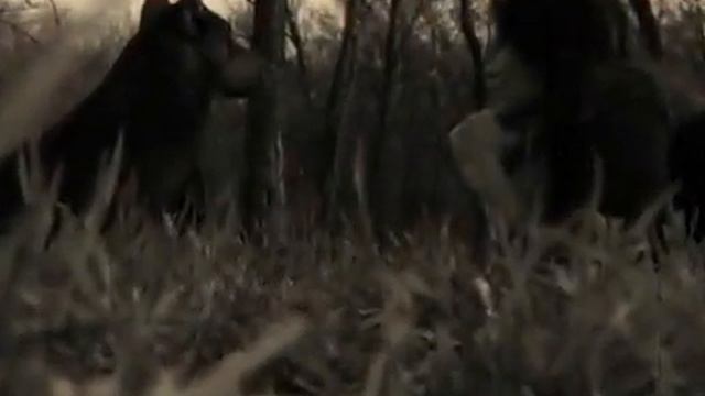 Знать бы хотя бы где Ты с кем Ты Тепло ли там Я то на Твоей планете смотреть онлайн