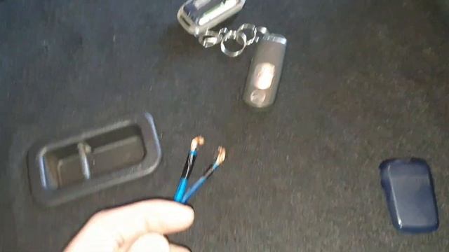 Узнать где плюс динамика, саба. Полярность динамика смотреть онлайн