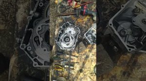 разбор и дефектовка 153fmi . двигатель питбайка BSE 125