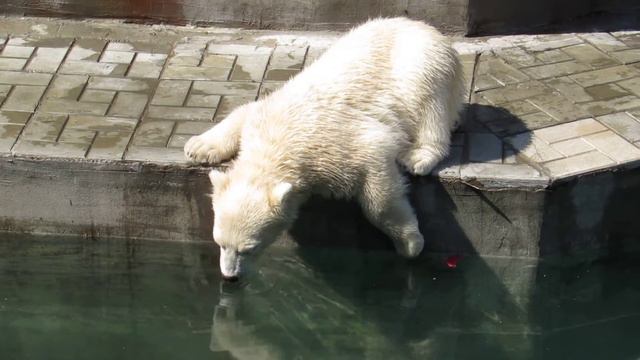 Мама, ты зачем этот мусор вытащила? 22.05.16 смотреть онлайн