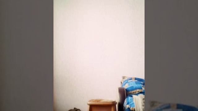 Прическа хвостик смотреть онлайн