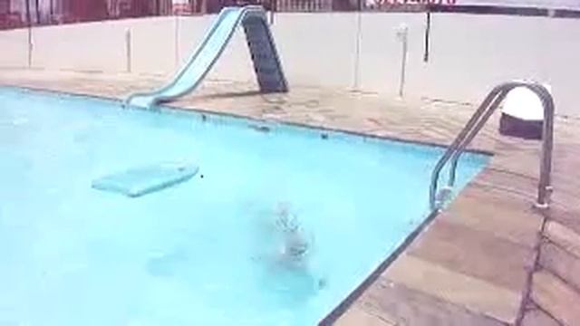Dudu no clubinho смотреть онлайн
