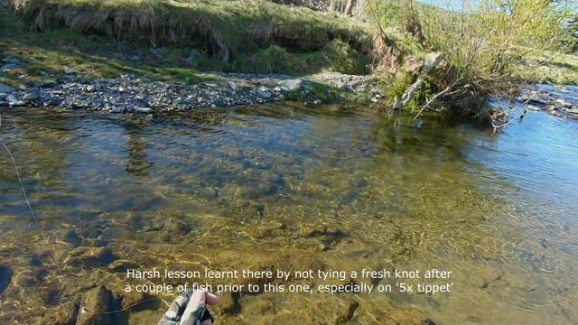 Fly Fishing a Small Farmland Stream For Brown Trout смотреть онлайн