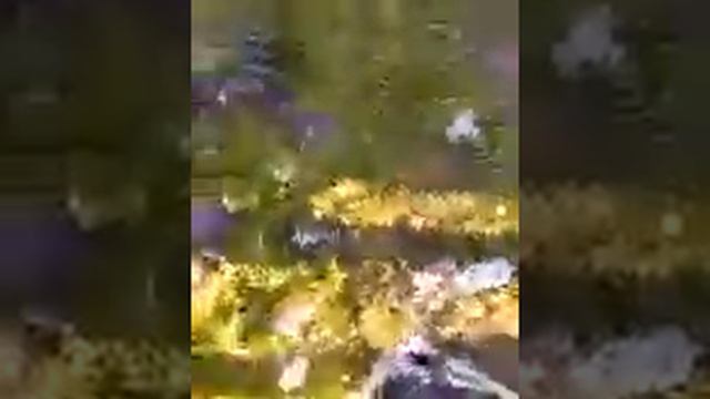Разбили радио за 10000 тысяч смотреть онлайн
