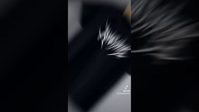 Мужские футболки с WB смотреть онлайн