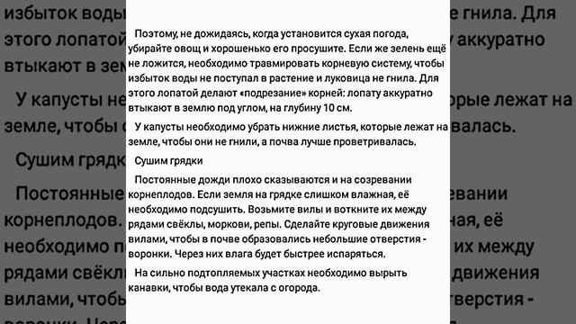 Урожай сгнил - дожди не перестают: Ботва у картошки ещё в июле почернела - высокий уровень грунтовы смотреть онлайн