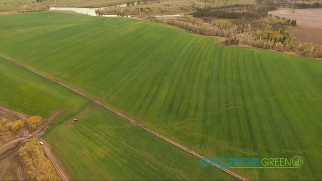 Рулонный газон Самара. Производитель рулонного газона в Самаре - Sagama Green смотреть онлайн