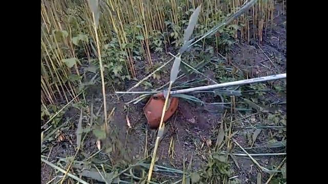 Леска для триммера. В чём разница? смотреть онлайн