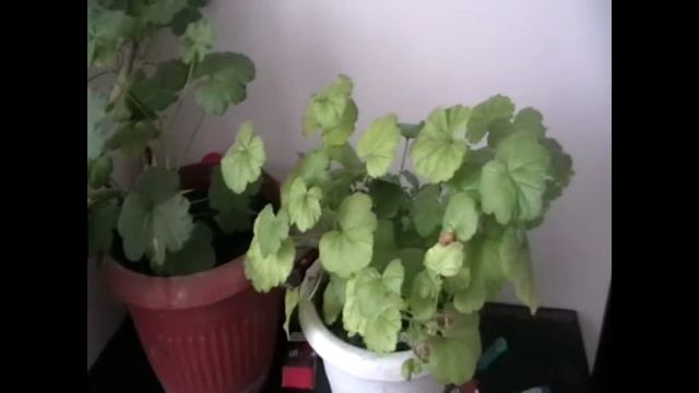 Как я провожу время зимой на даче смотреть онлайн