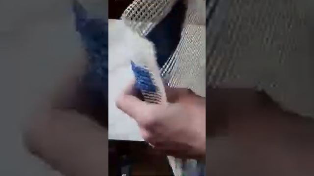 ВИДЕО-Урок «Вышивка на Страмине» смотреть онлайн