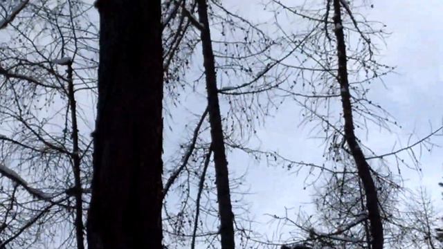 Мини поход выходного дня. Река Волчанка. Изба смотреть онлайн