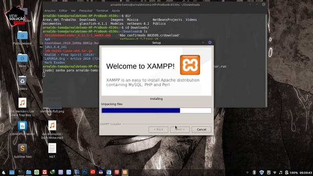 Baixar e Instalando O Apache XAMPP contendo PHP, MySQL e Perl No Linux Mint 19. 3 Cinnamon ,Ubunt смотреть онлайн