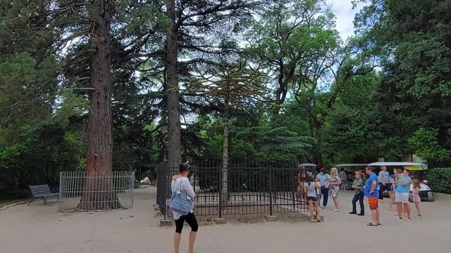 Крым сегодня. Что творится на городском пляже в Алупке, но сначала смотрим Воронцовский парк.