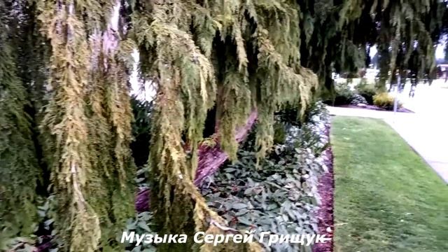 ,,SPRING DROPS,, Музыка Сергей Грищук смотреть онлайн
