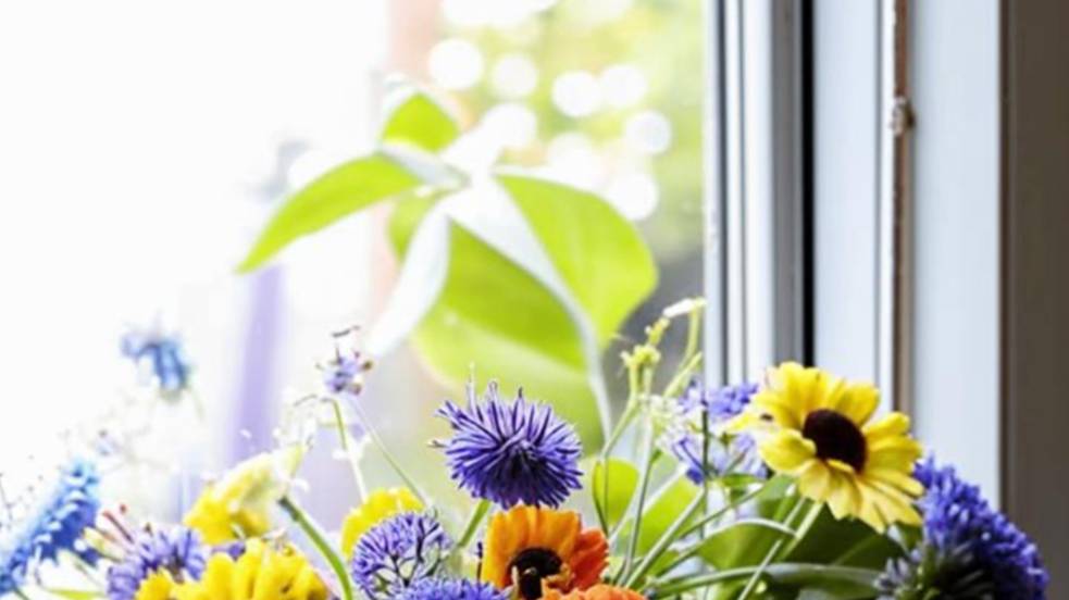 Домохозяйка Ната