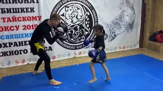 Тайский бокс смотреть онлайн