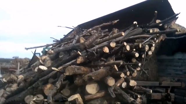 Т40 в работе, заготовка дров. смотреть онлайн